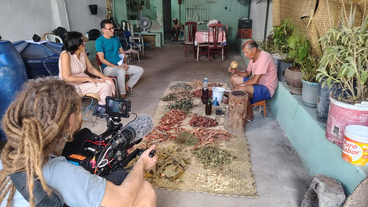 Filmagem do preparo de plantas medicinais em uma residência.